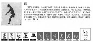 属的拼音，屈的拼音怎么读