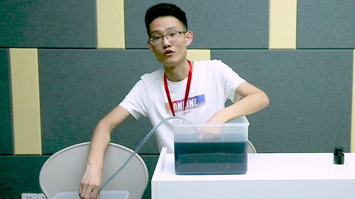 isadoralimare 三宅一生，isadora英文名