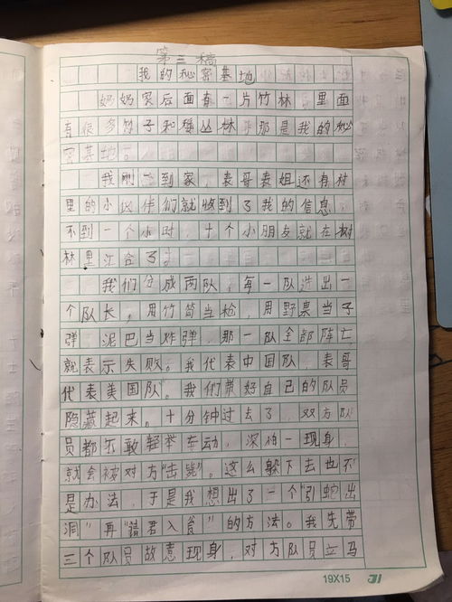 我的秘密作文