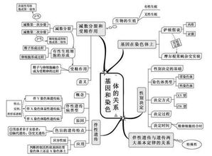 初中生物思维导图完整版，关于调节的初中生物思维导图