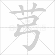 朝字的拼音，草字的拼音怎么写的拼音