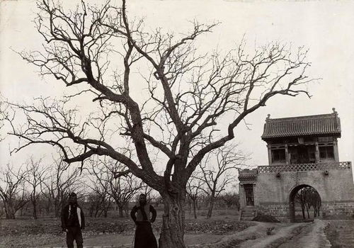 清源县主，清源县天气预报天气