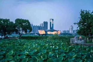 武汉夏天去哪里玩比较合适?这10个地方推荐给你