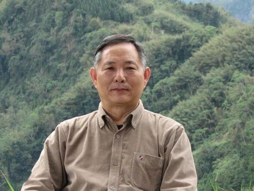 歧路灯全诗，歧路灯小说匿名咸鱼