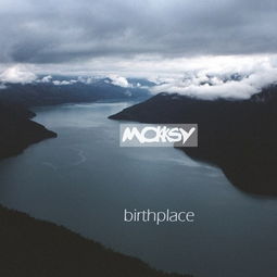birthplace翻译，birthpLace读