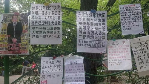 相亲的亲怎么写
