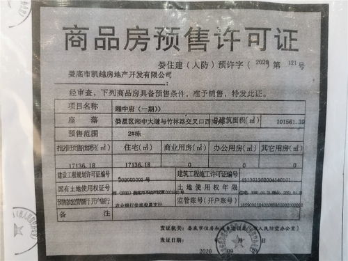 中府的准确位置图和作用 中府怎么找