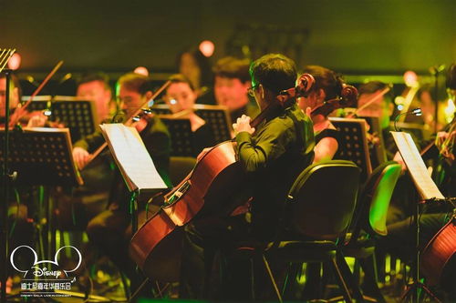英语单词concert中文是什么意思