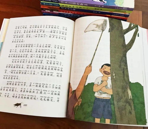 适当拼音怎么写，适当拼音组词
