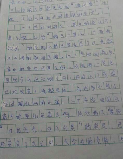 描写我的家乡优秀作文500字