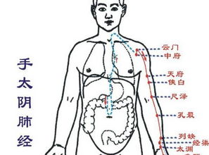 中府定位的准确位置图，中府位置图片