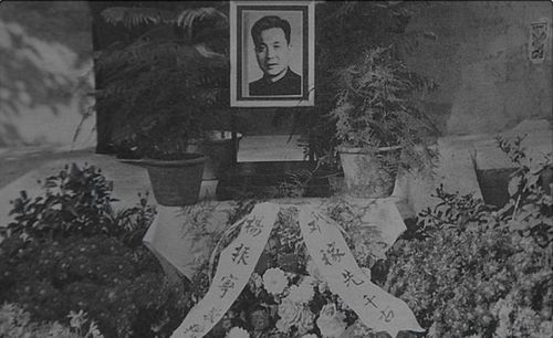 邓稼先与杨振宁之间的关系