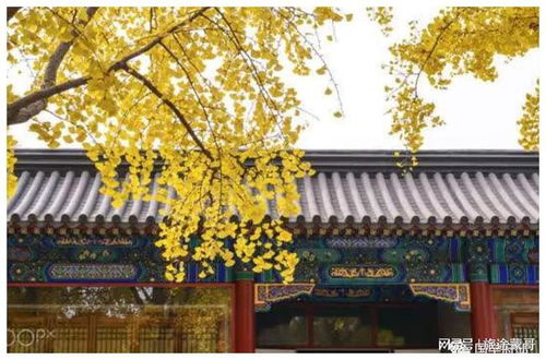 题宣州开元寺古诗翻译赏析