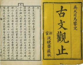 古文中之的意思和用法，古文之的意思用法