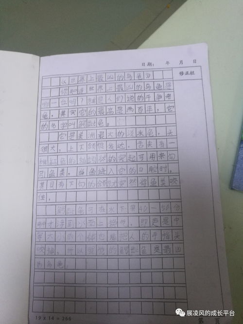 他变了作文450字，他变了作文开头