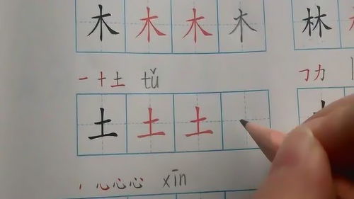 走字的笔顺正确的写法，都字的笔顺