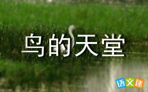 鸟的天堂课文笔记，鸟的天堂课文板书设计