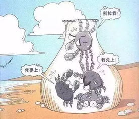 分配平等主义是什么意思