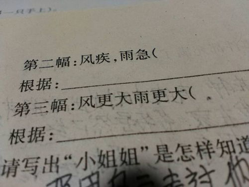 四个字成语帯雨字有哪些