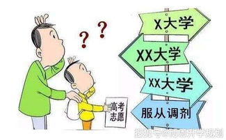 报名是否服从调剂什么意思，报考志愿是否服从调剂什么意思