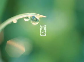 雨水谚语有哪些