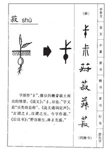 菽读什么