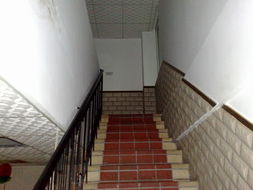 第132级台阶阅读和答案，台阶第13段运用了什么描写方法