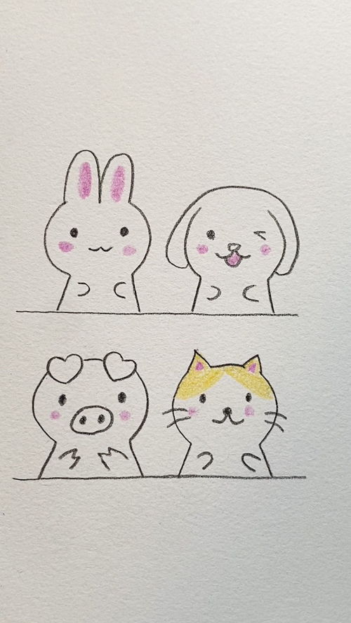 100种小动物的画法