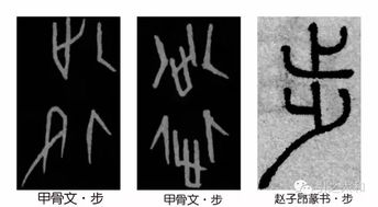 “登”字的偏旁是什么?