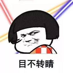 目不转睛的拼音怎么读，全神贯注的拼音