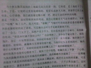 六年级关于我的爸爸优秀作文500字