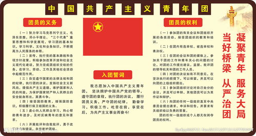 团员是全称是什么?