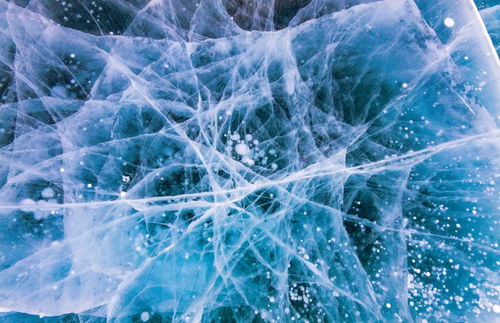 冰封重生之门，冰封求生