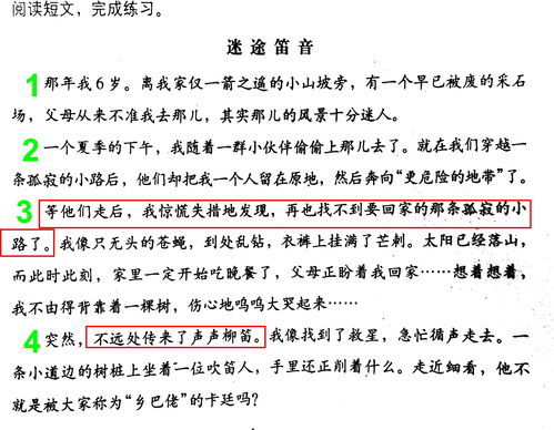 看望的近义词