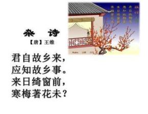 杂诗的意思杂诗的意思是什么