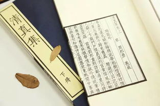 北宋末期最有影响,被称为“词中老杜”的作家是