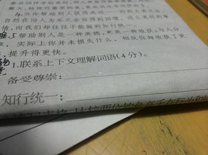 尊崇是什么意思 尊崇造句 近义词反义词