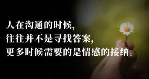 可贵的英文，可贵歌曲