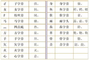 刷的部首是(),再查()画,