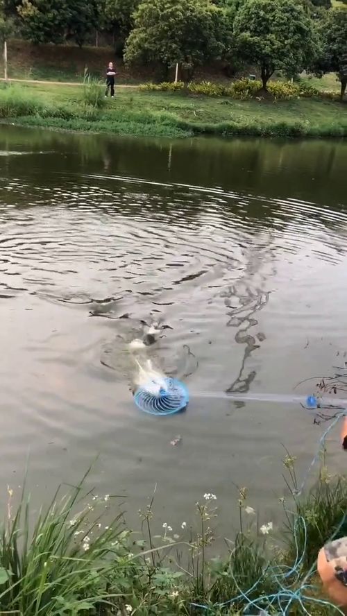 我的鱼塘是什么意思，我的鱼塘遍布全星际