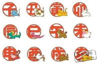 十二生肖顺序表及年龄，十二生肖顺序表怎么读