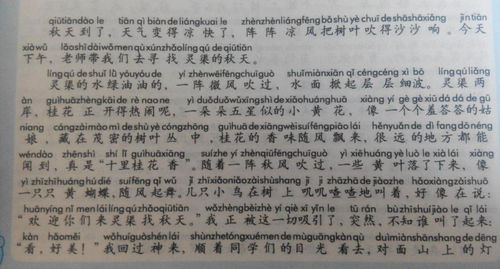 以我可以为题的初一作文600字