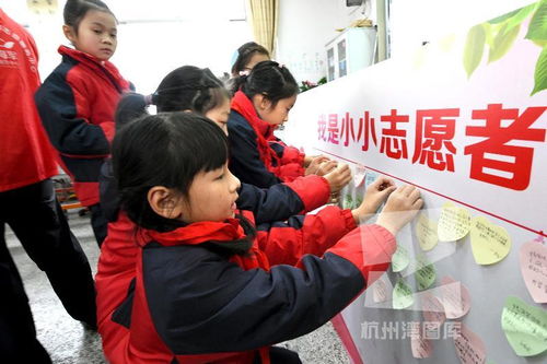 我是小小志愿者活动过程记录，我是小小志愿者活动内容