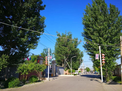 柳营春试马、虎帐夜谈兵书法，柳营新村319弄动迁