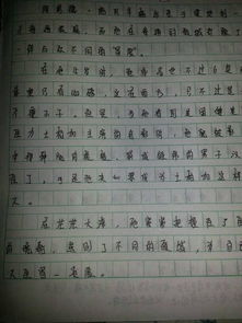 作文500字左右优秀作文，作文500字初中