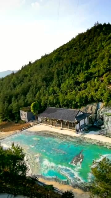 两岸猿声啼不住下一句是什