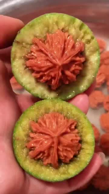 新鲜的英语怎么说?
