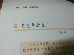 鱼我所欲也翻译朗诵，孟子告子上鱼我所欲也翻译