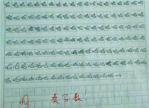 自信作文800字高中，增强文化自信作文800字