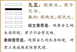 无咎的意思无咎的意思是什么